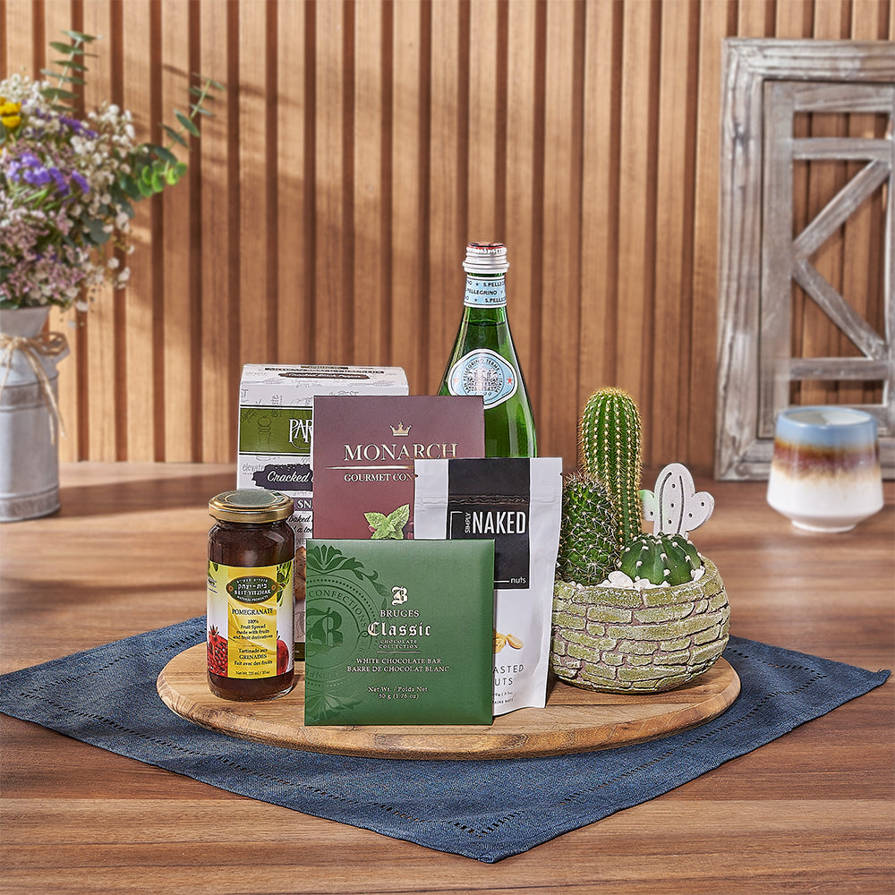 Kosher Gourmet Crackers and Three Cacti Gift Basket – how the gift is presented