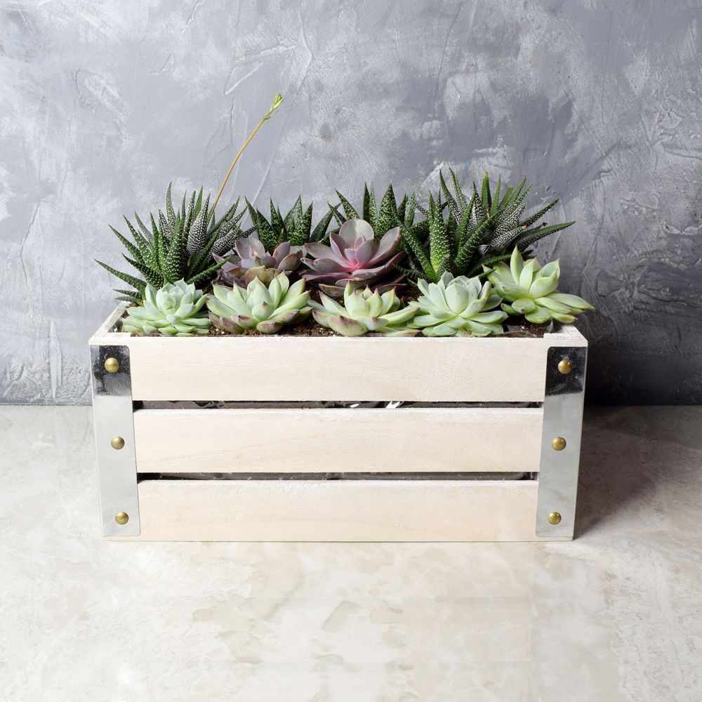 Low Maintenance Succulent and Tropical Plant in Wooden Crate – how the gift is presented