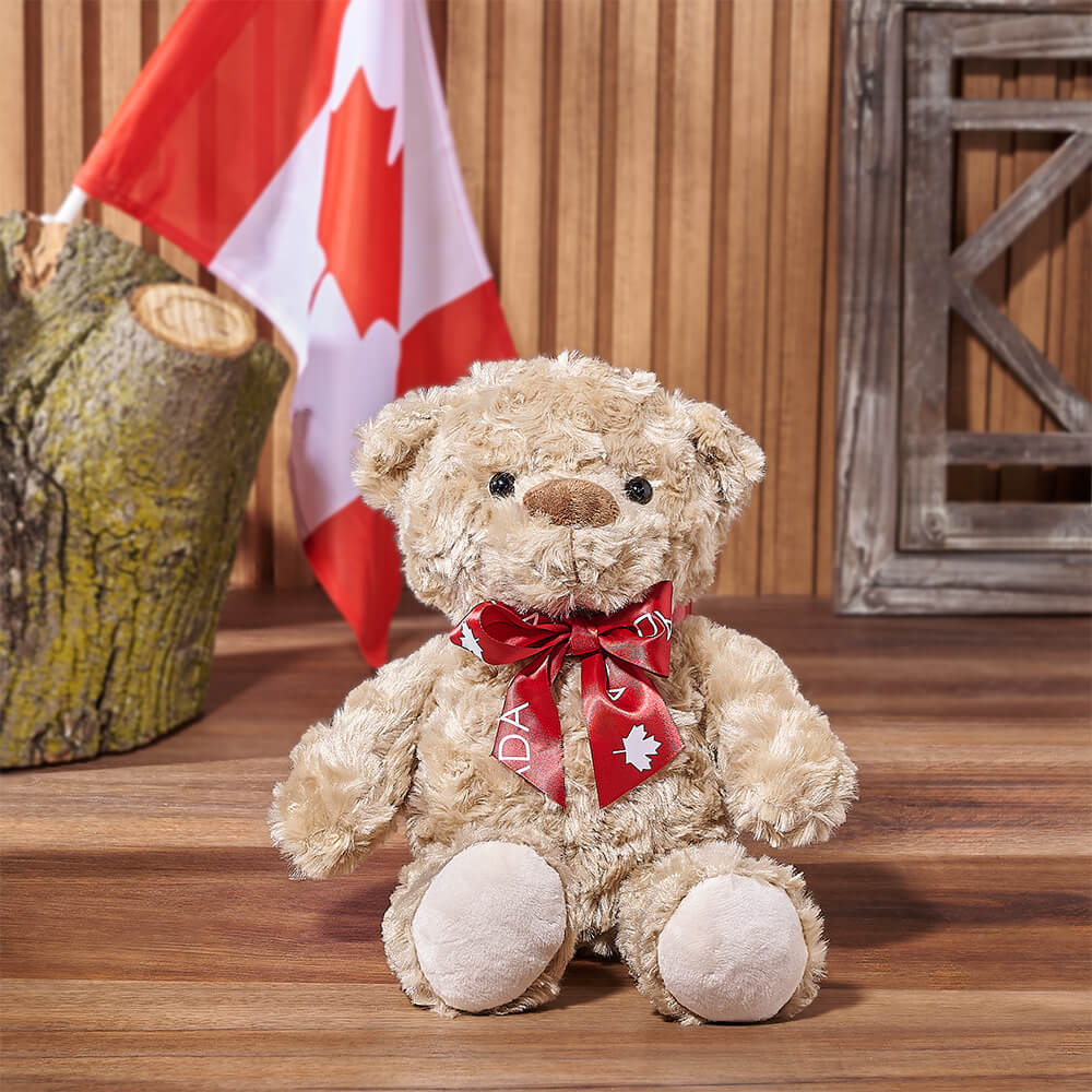 Soft Tan Plush Teddy Bear Gift Basket – how the gift is presented
