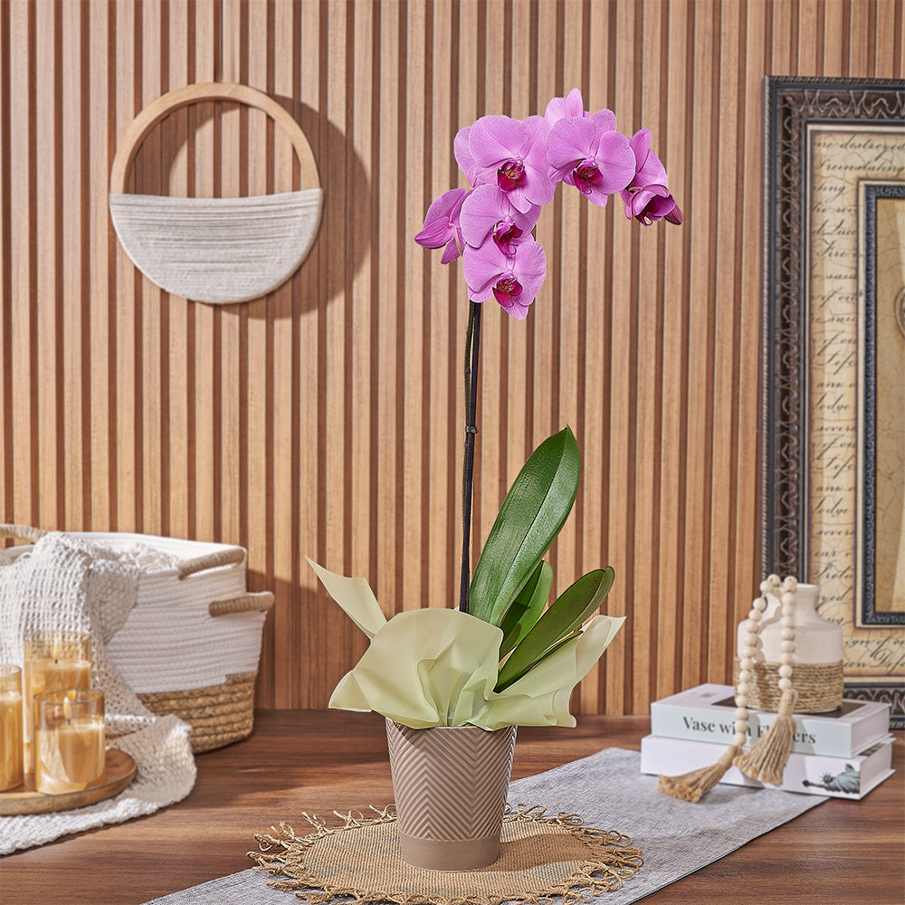 Ceramic Pot Pink Orchid – how the gift is presented