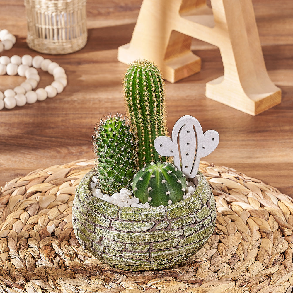 Three Mini Cactus Plants in a Brick Style Planter – how the gift is presented