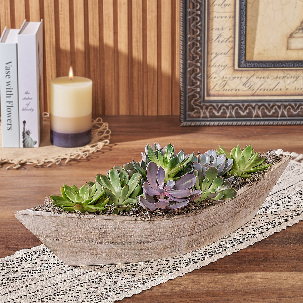 Boat Shaped Succulent Planter – how the gift is presented