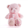 "Pink Best Friend Baby Plush Bear" New Baby Plush Bear-Canada Baskets- Canada delivery