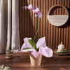 Wondrous Orchid Gift, orchid gift, orchid, plant gift, plant, flower gift, flower, Canada delivery