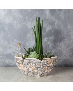 St. Lawrence Potted Succulent Garden