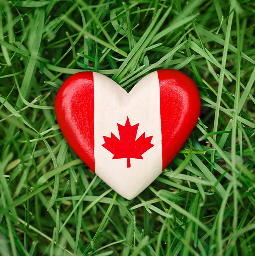 Our Canada Day Gift Ideas for Co-Workers