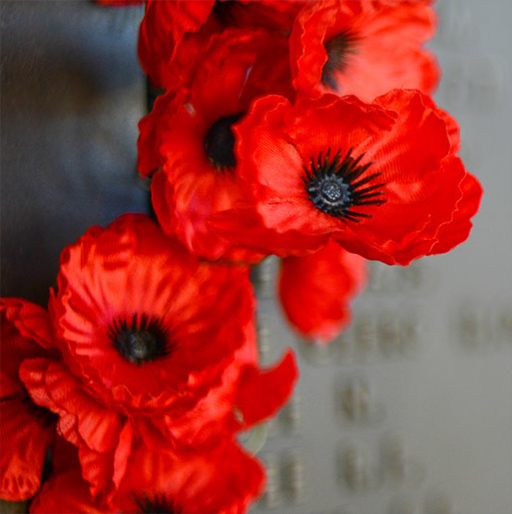 Our Remembrance Day Gift Ideas for Veterans & Parent